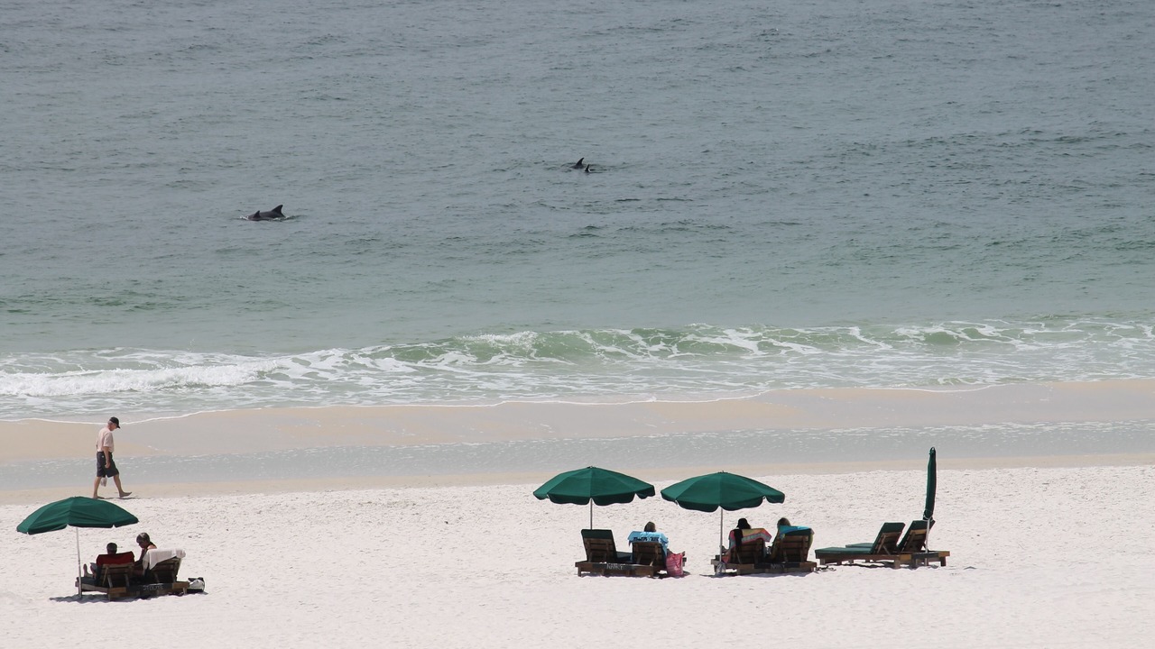 Photo of Others in Orange Beach