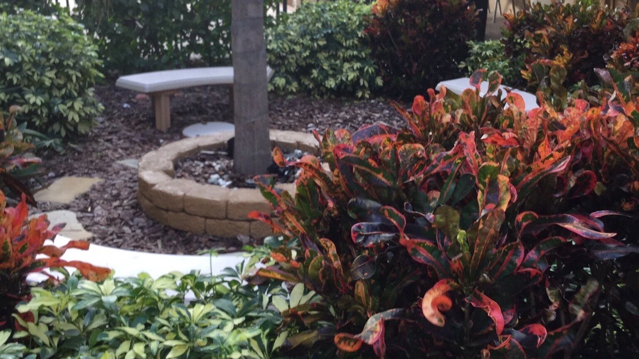 Photo of Outdoor in Belleair Beach