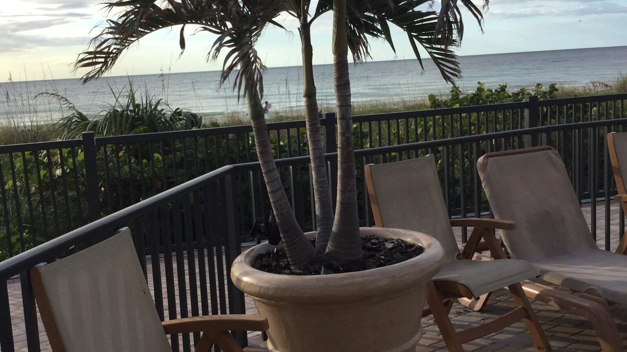 Photo of Others in Belleair Beach