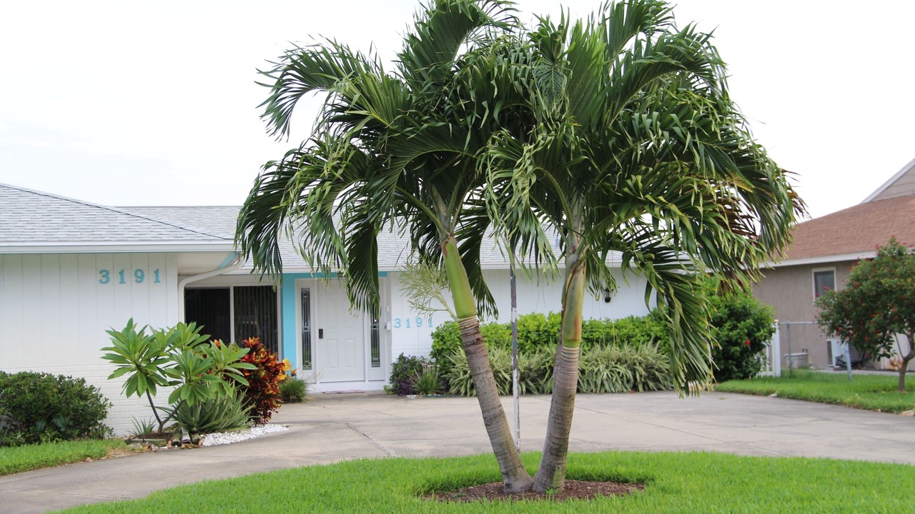 Photo of Outdoor in Coquina Key