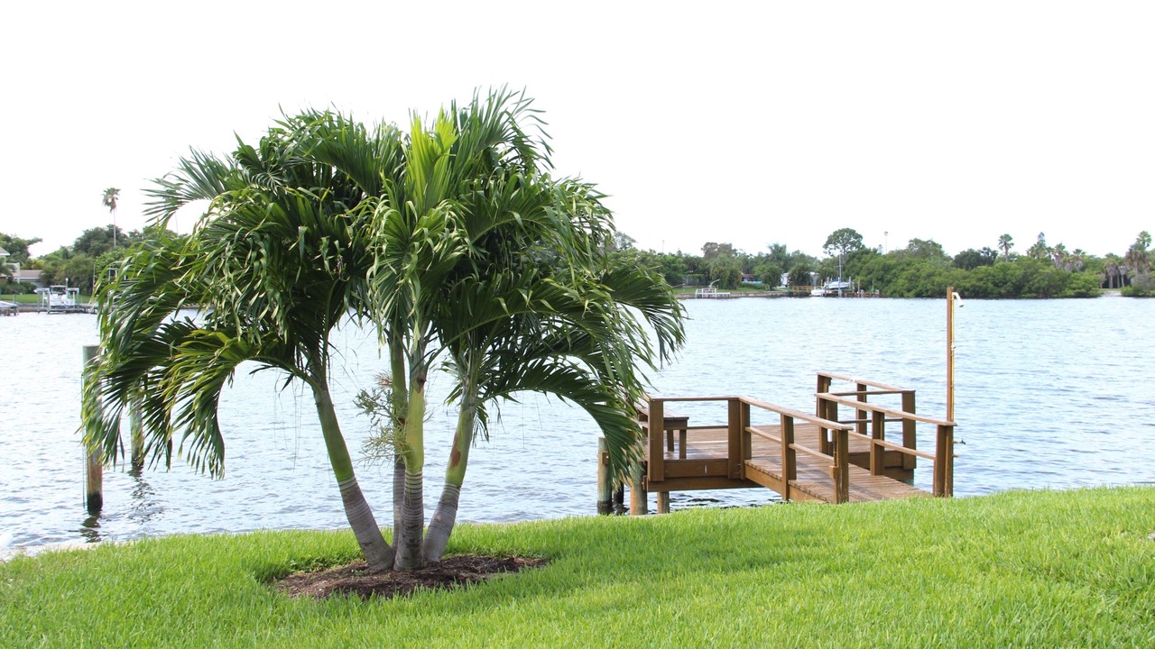 Photo of Outdoor in Coquina Key