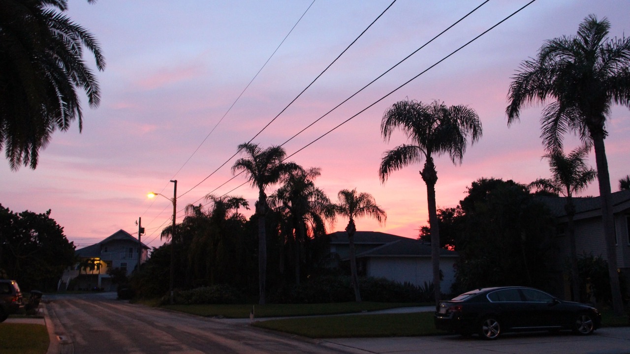 Photo of Others in Coquina Key