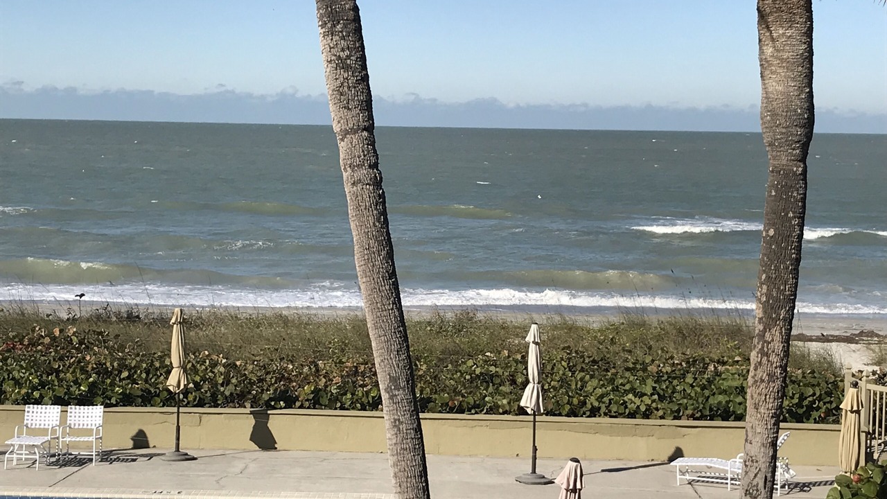 Photo of Outdoor in Belleair Beach