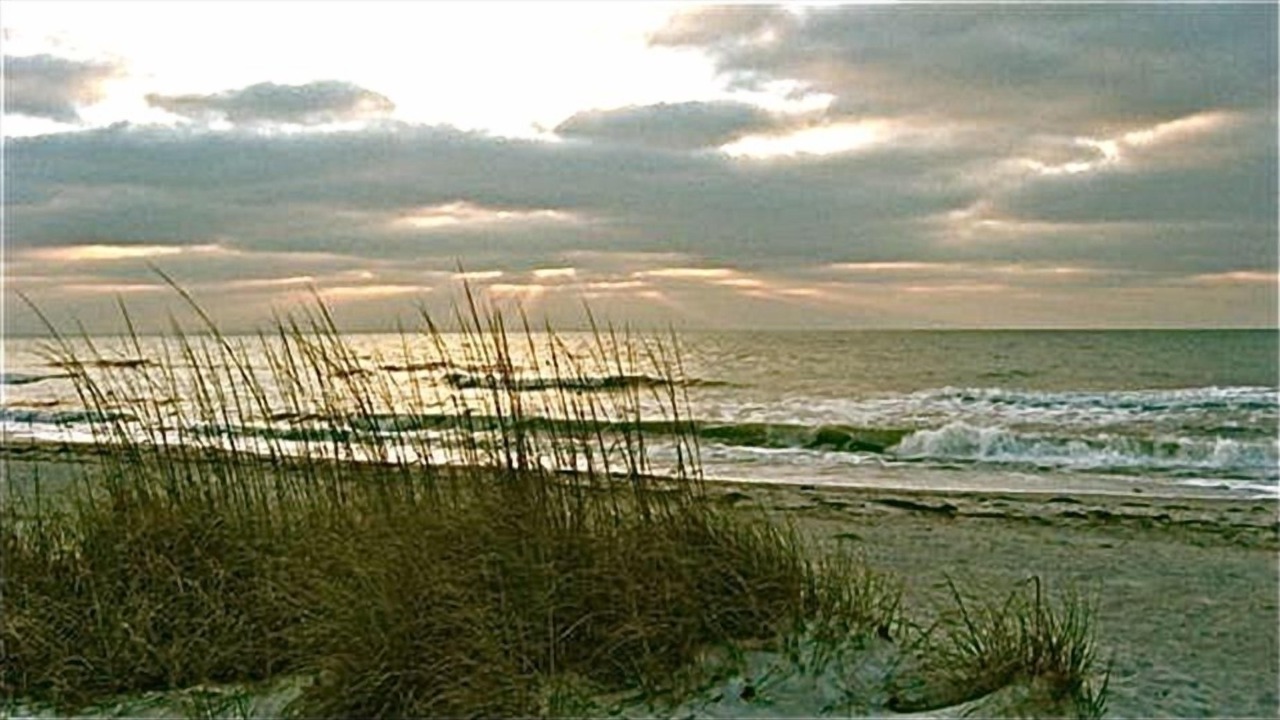 Photo of Others in Belleair Beach