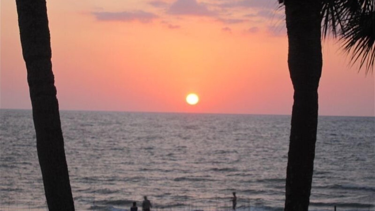 Photo of Others in Belleair Beach