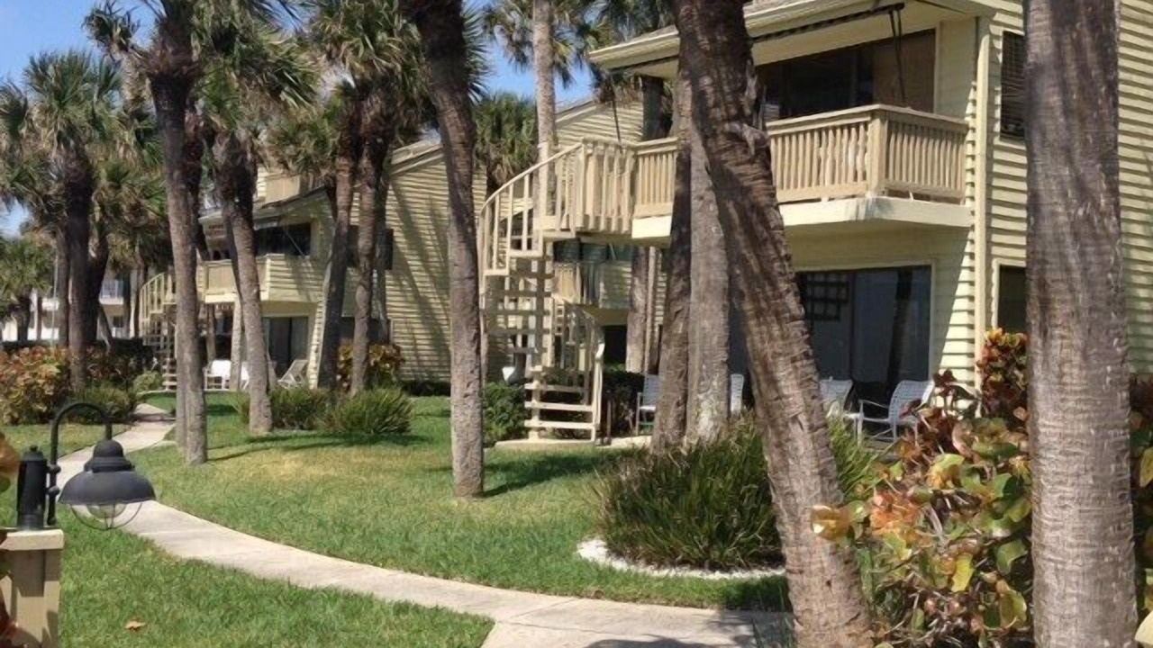 Photo of Outdoor in Belleair Beach