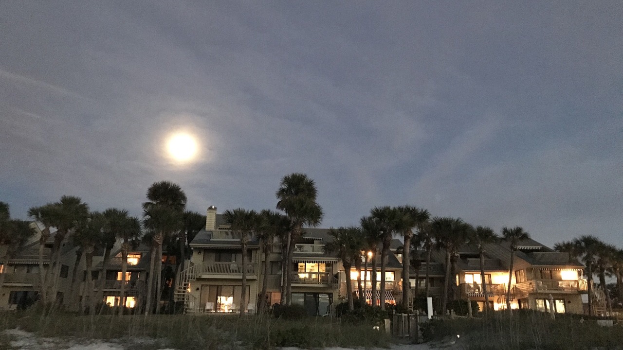 Photo of Outdoor in Belleair Beach