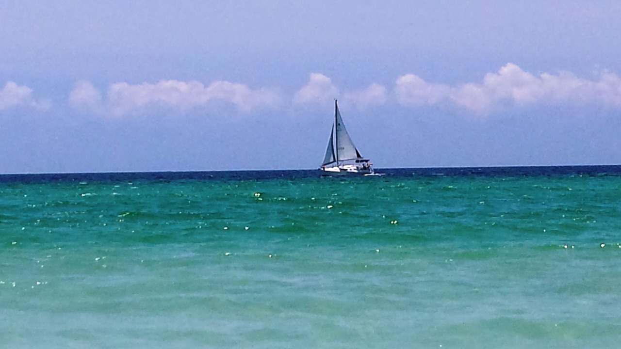 Photo of Others in Hollywood Beach