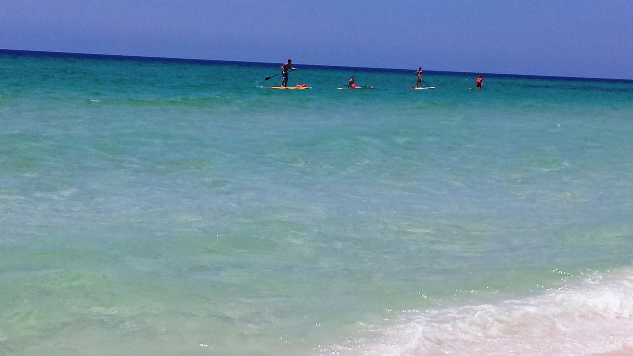 Photo of Others in Hollywood Beach