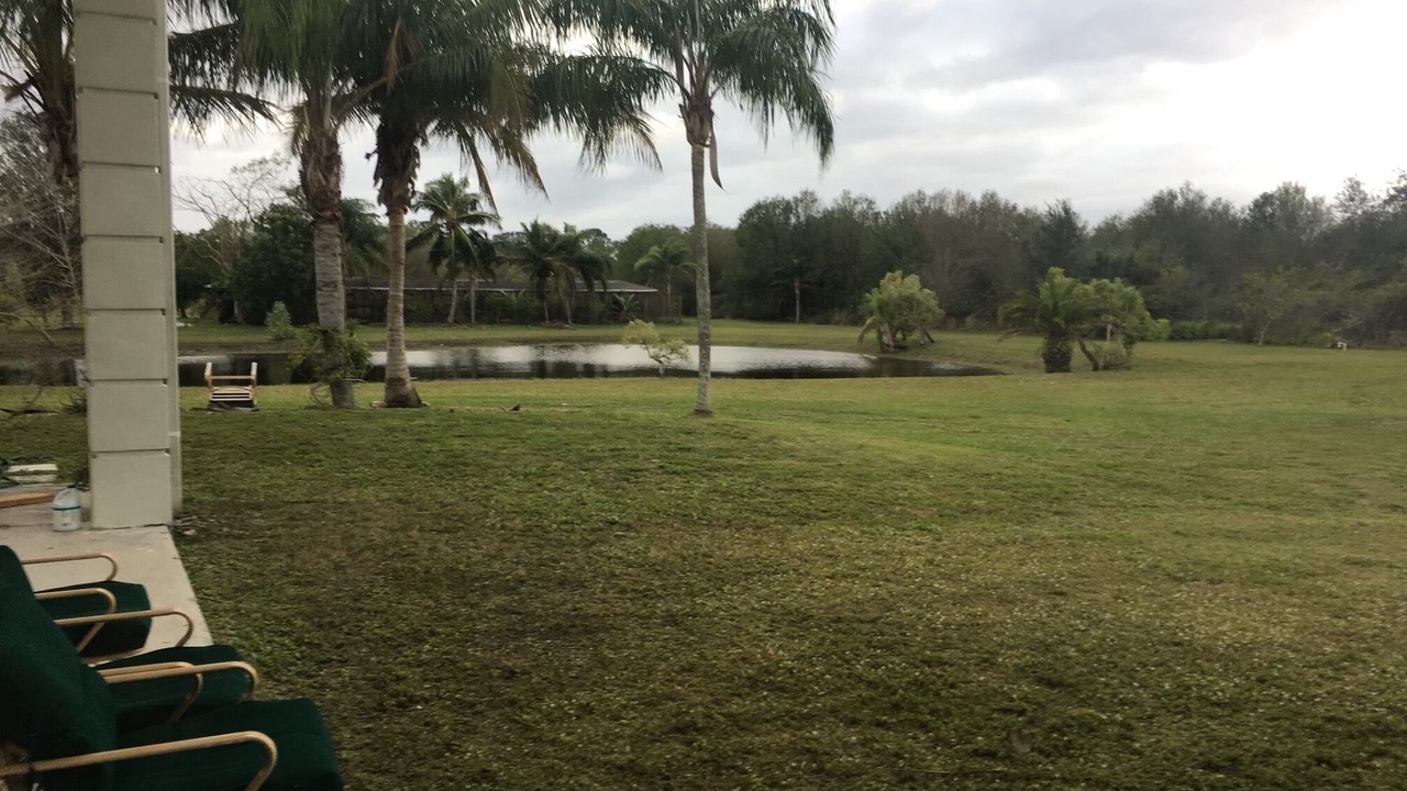 Photo of Outdoor in Palm City