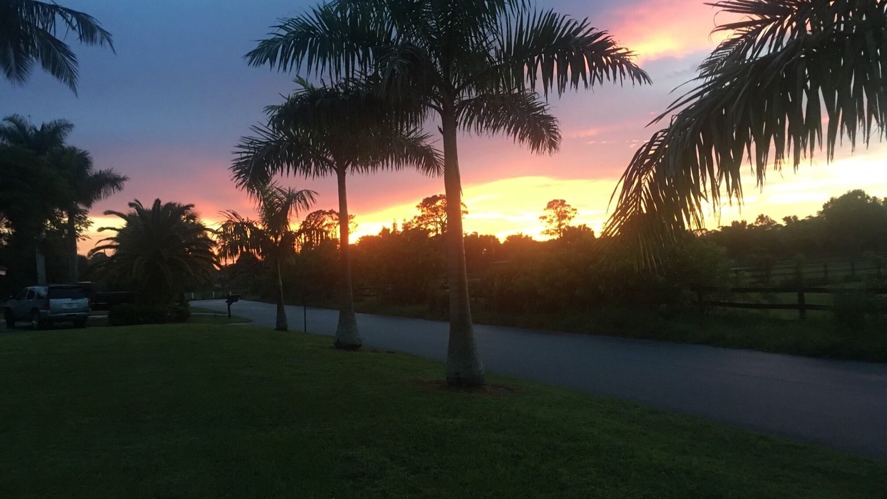 Photo of Outdoor in Palm City