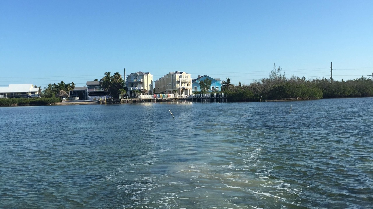 Photo of Others in Cudjoe Key