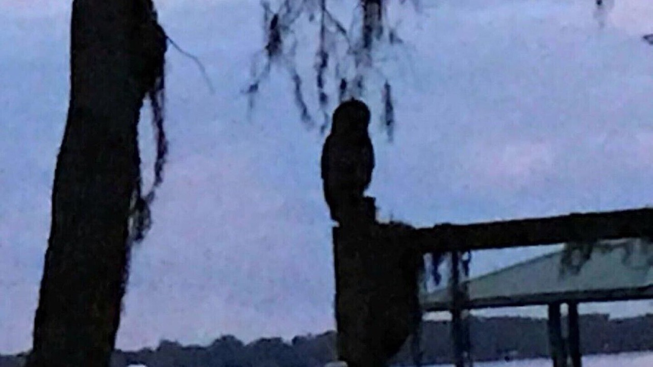 Photo of Others in Palatka