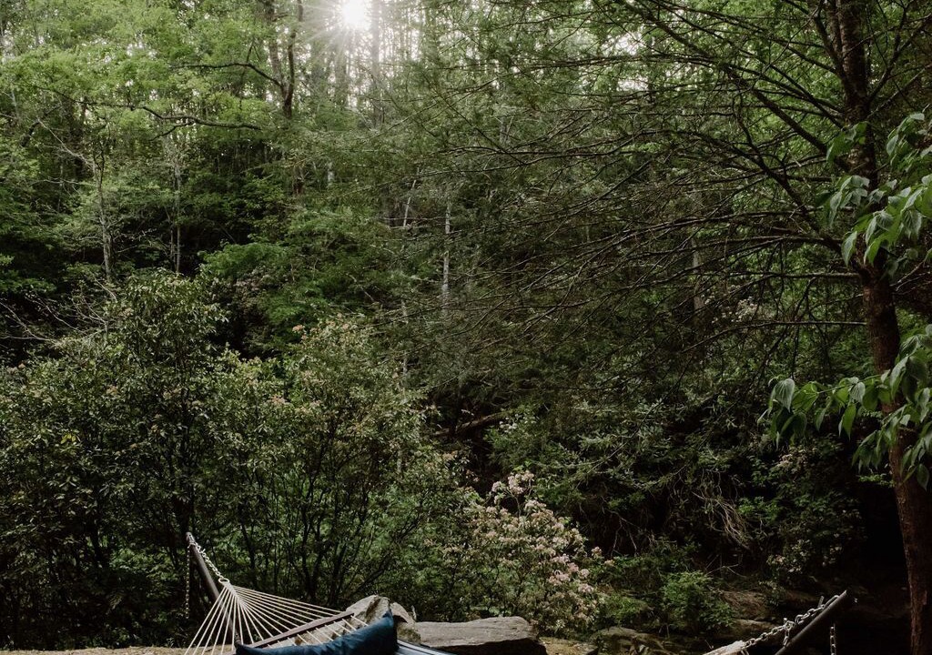 Photo of Outdoor in Mountain Rest