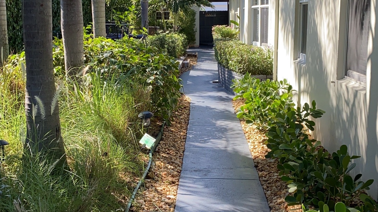 Photo of Outdoor in Royal Poinciana