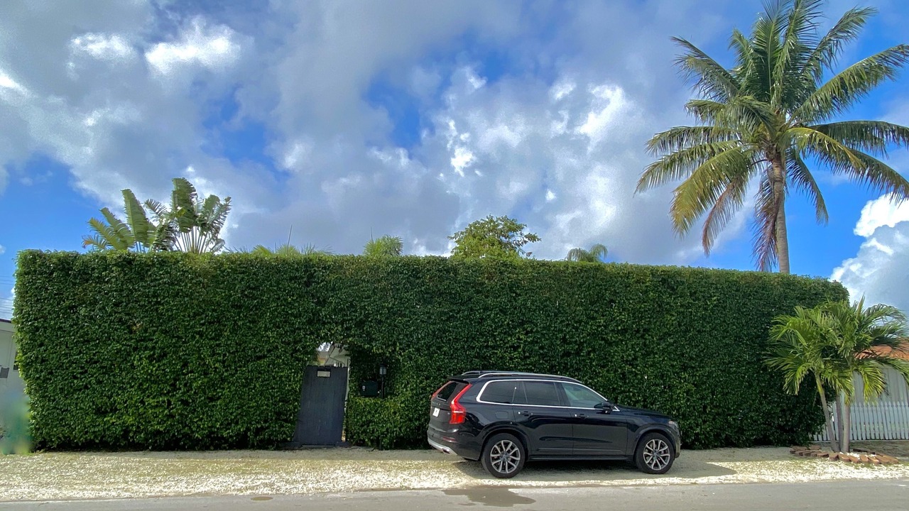 Photo of Outdoor in Royal Poinciana