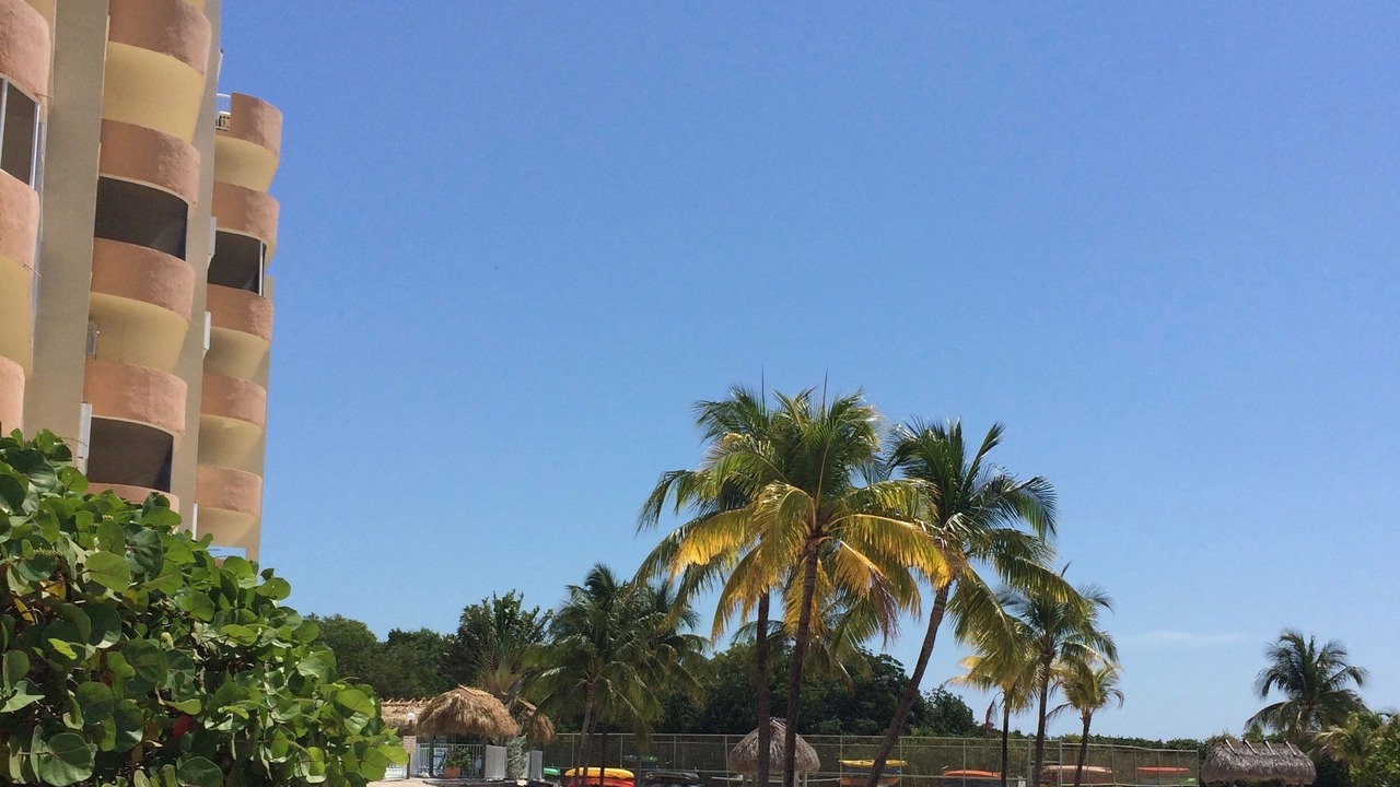 Photo of Others in Tavernier