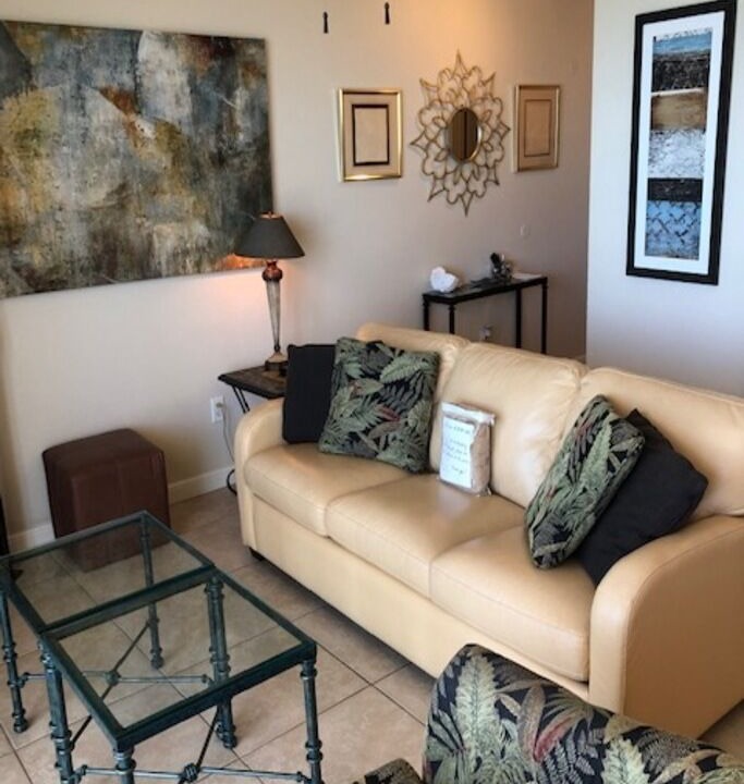 Photo of Livingroom in St. Petersburg - Clearwater