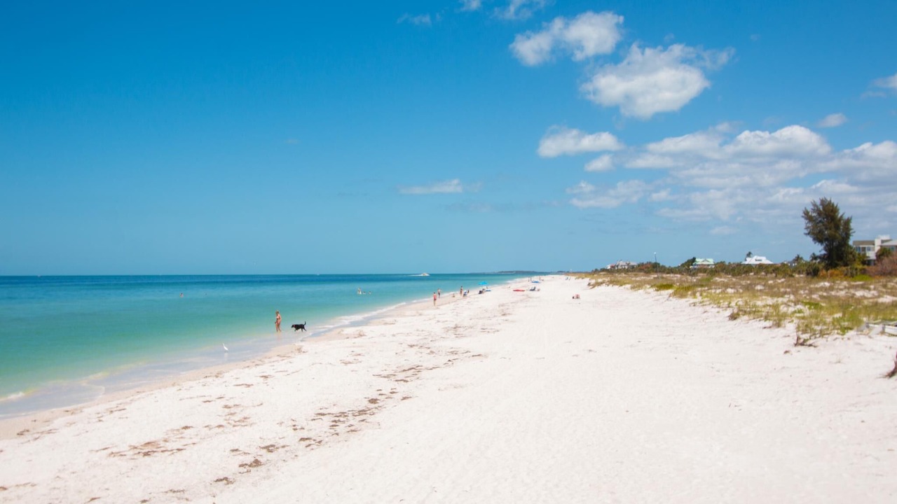 Photo of Others in Clearwater Beach
