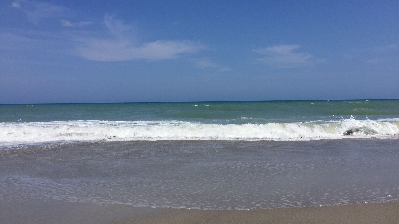Photo of Others in Indian Harbour Beach