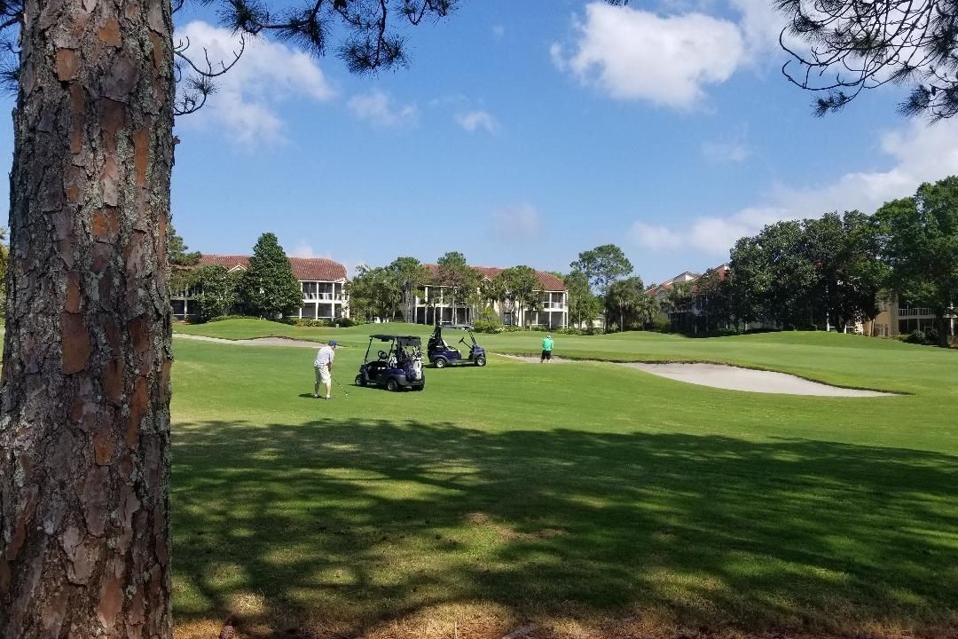 Photo of Others in Sandestin