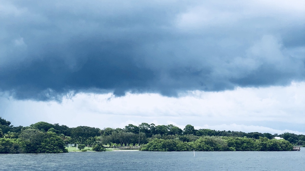 Photo of Others in Safety Harbor