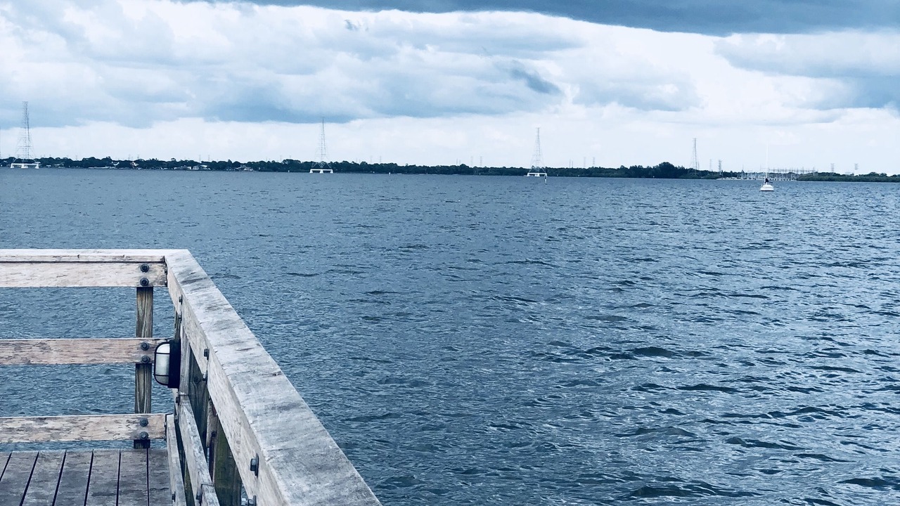 Photo of Others in Safety Harbor
