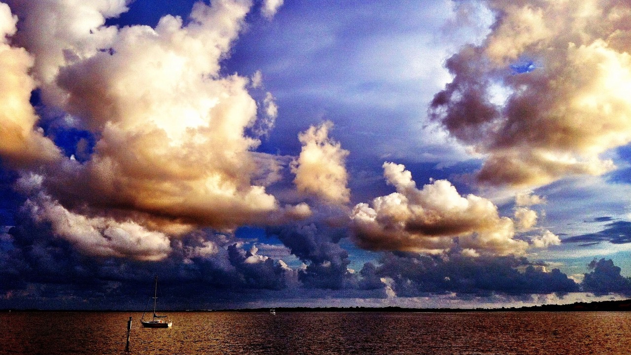 Photo of Others in Safety Harbor