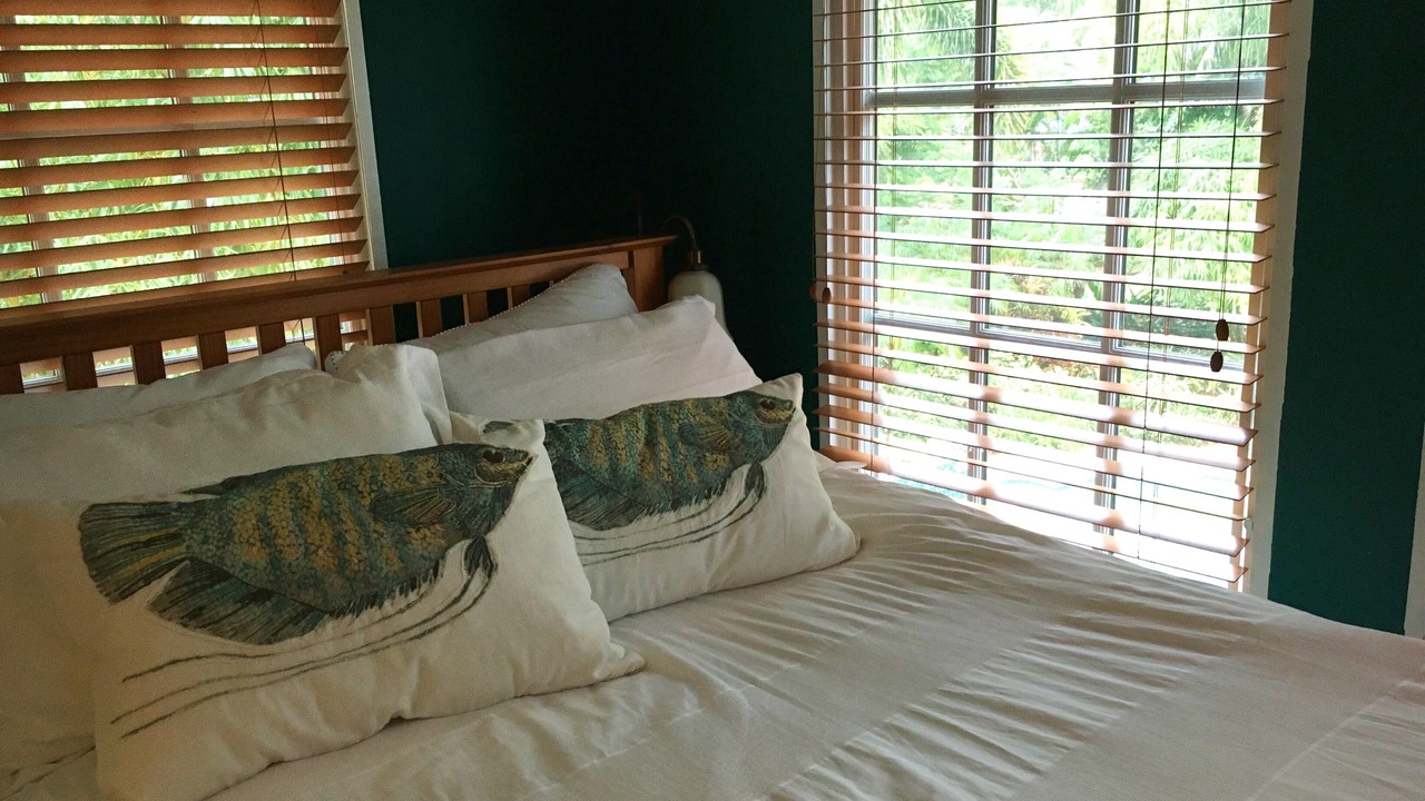 Photo of Outdoor in Indian Beach Sapphire Shores