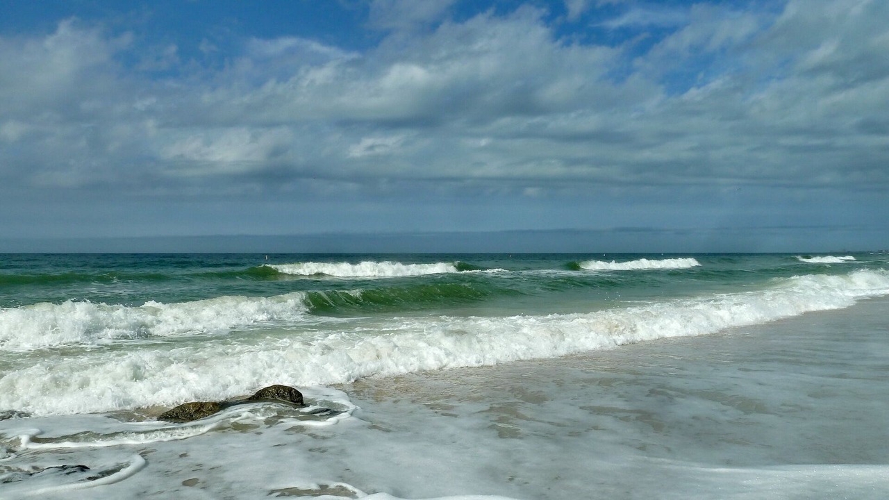 Photo of Others in Redington Shores