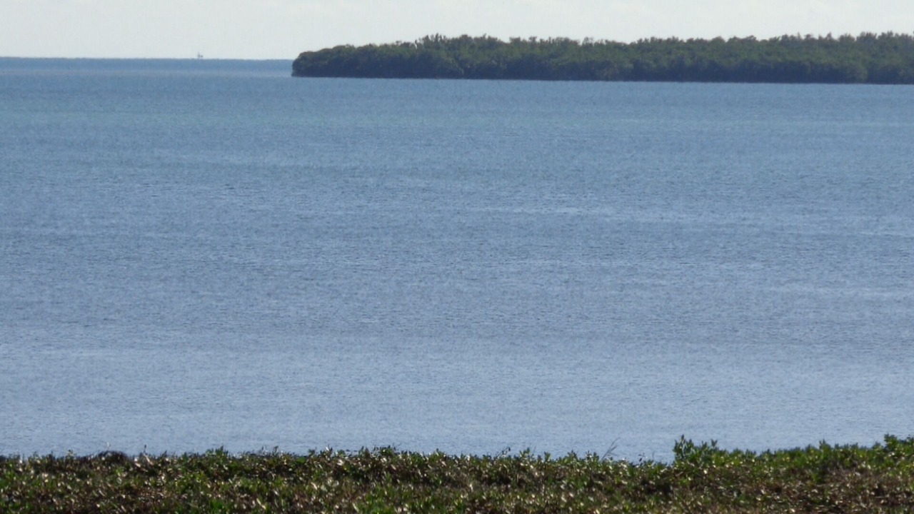 Photo of Others in Tavernier