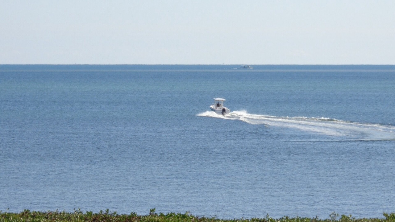 Photo of Others in Tavernier