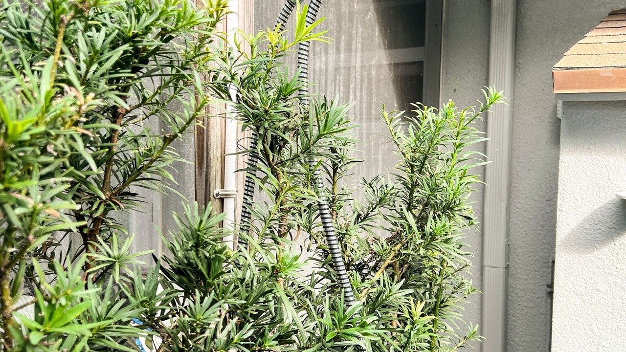Photo of Outdoor in Lake Park
