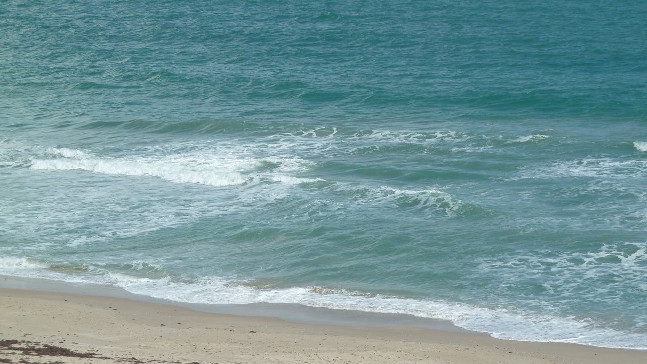 Photo of Others in Fort Pierce Shores