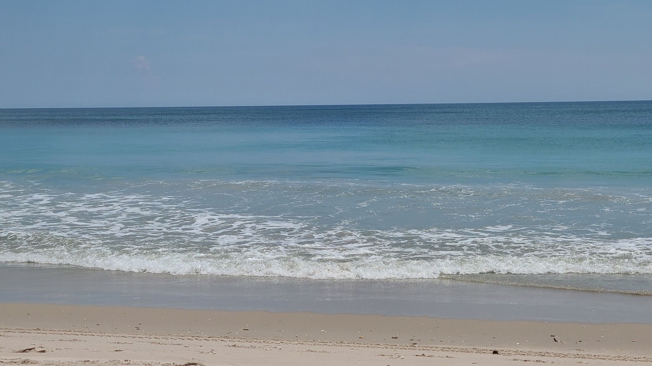 Photo of Others in Fort Pierce Shores