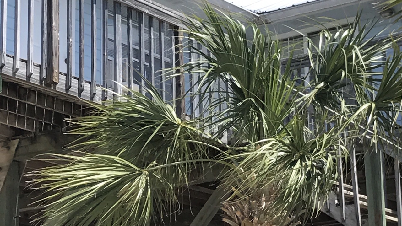 Photo of Outdoor in Perry