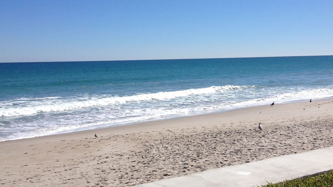 Photo of Others in Satellite Beach