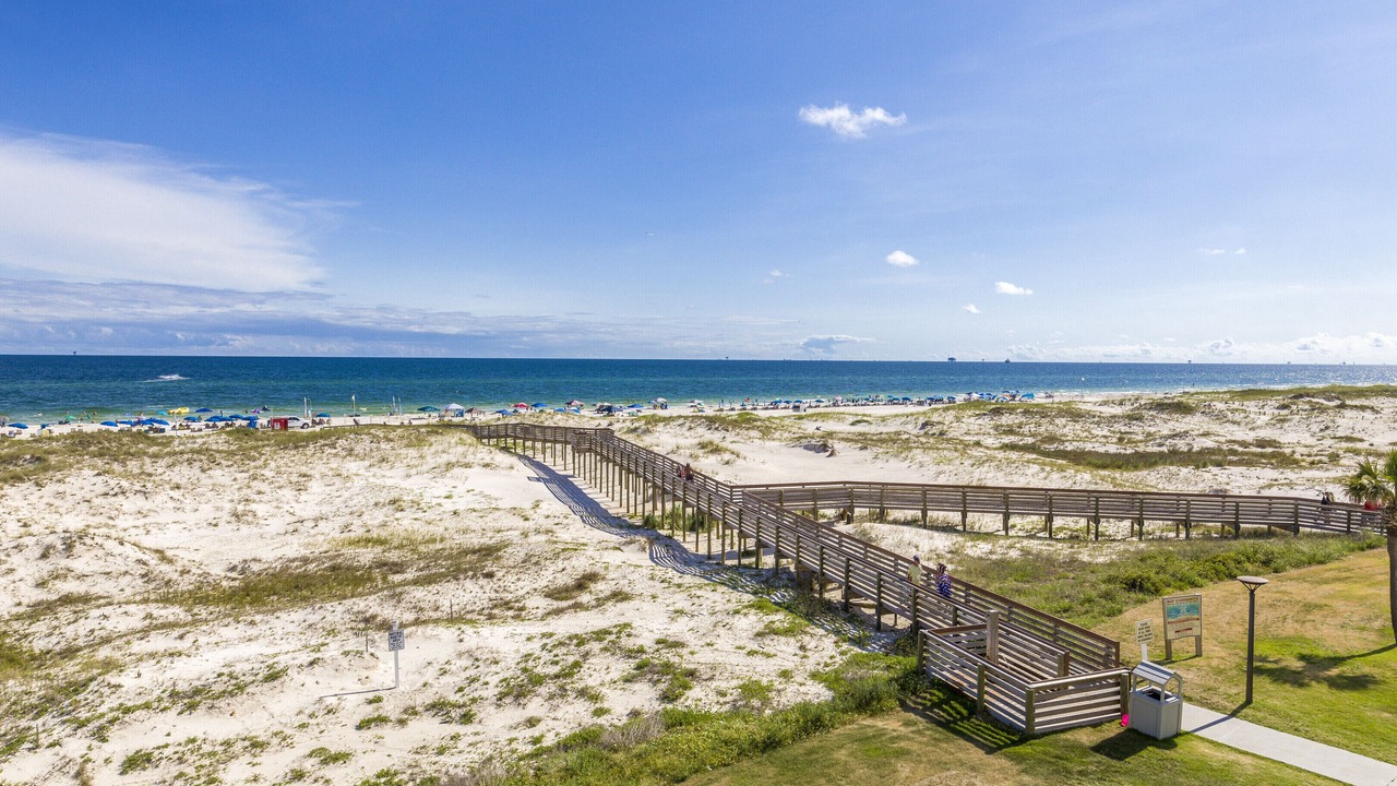 Photo of Others in Alabama Gulf Coast