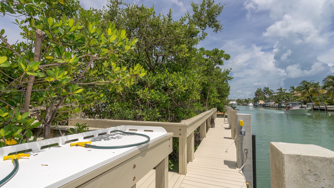 Photo of Outdoor in Coury