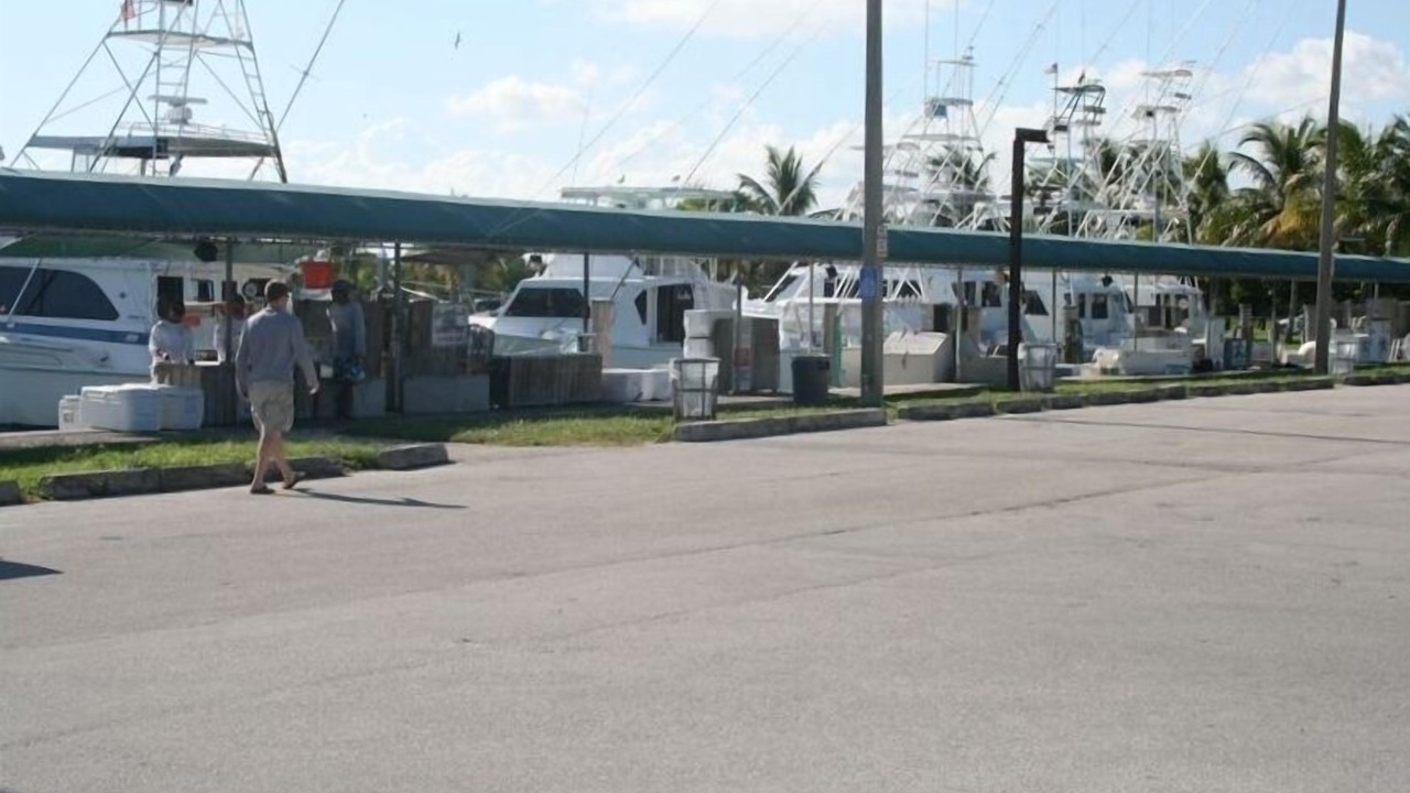 Photo of Others in Key Biscayne