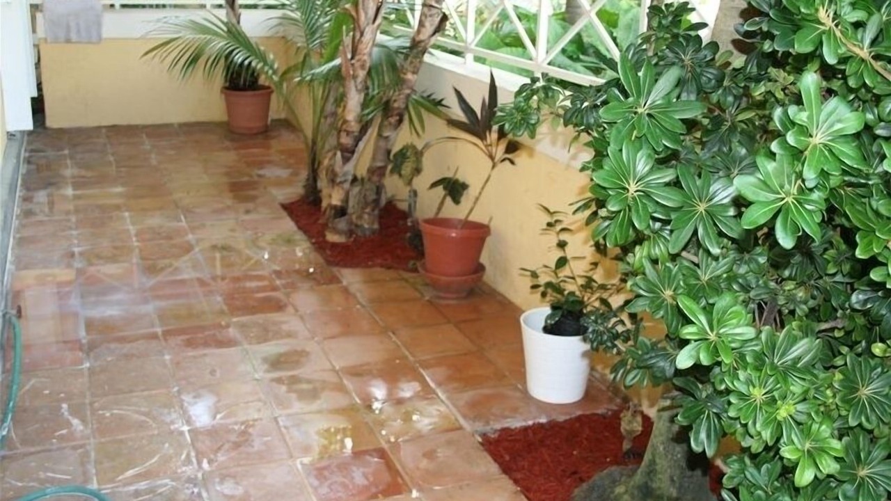 Photo of Outdoor in Key Biscayne