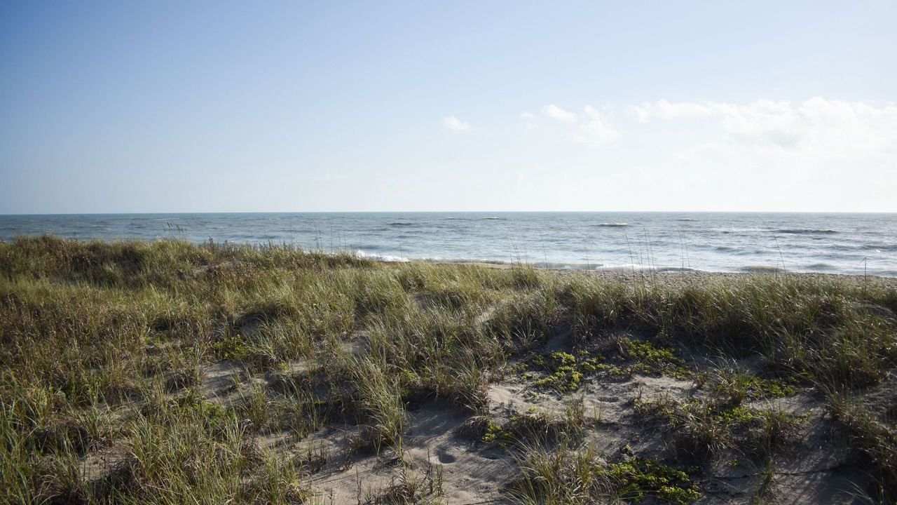 Photo of Others in Fort Pierce