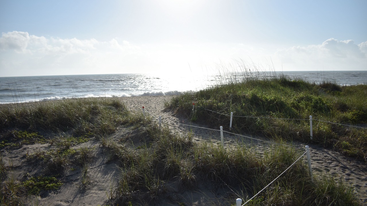 Photo of Others in Fort Pierce