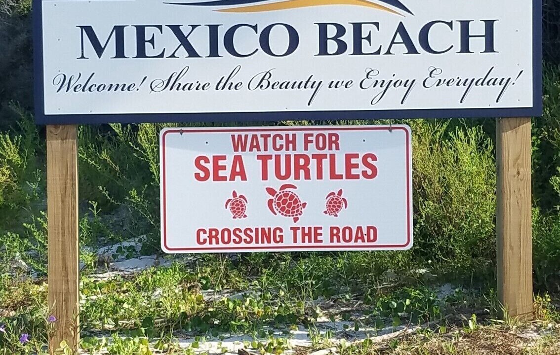 Photo of Outdoor in Mexico Beach
