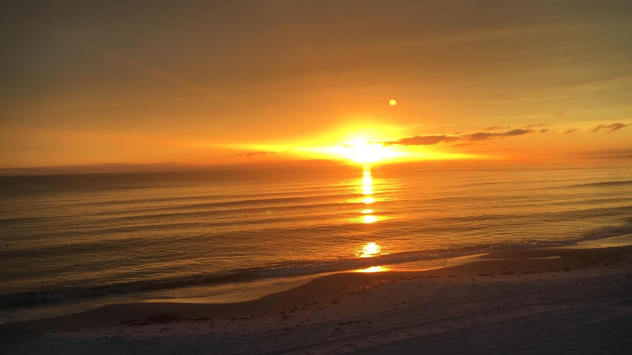 Photo of Others in Mexico Beach