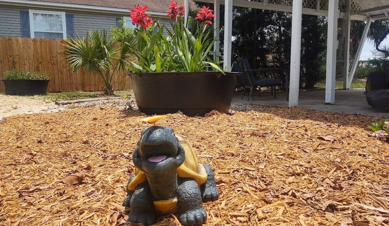 Photo of Outdoor in Port St. Joe
