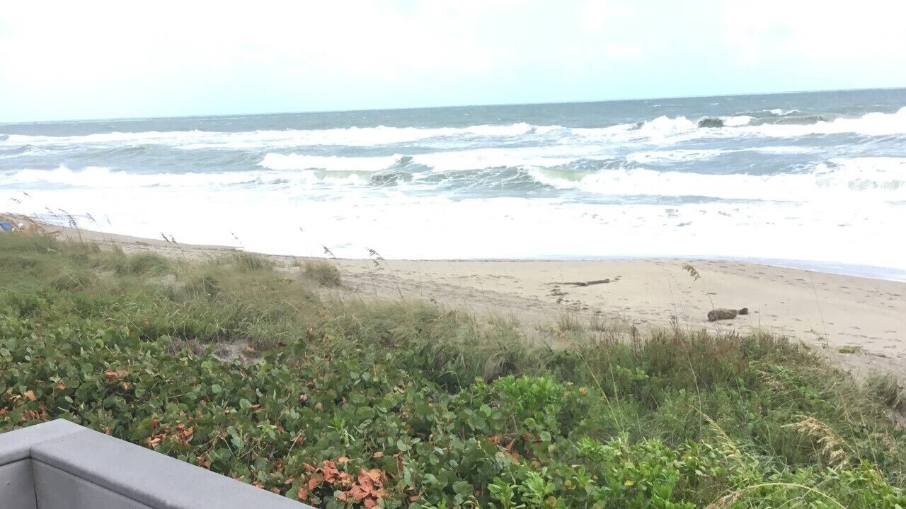 Photo of Others in Stuart