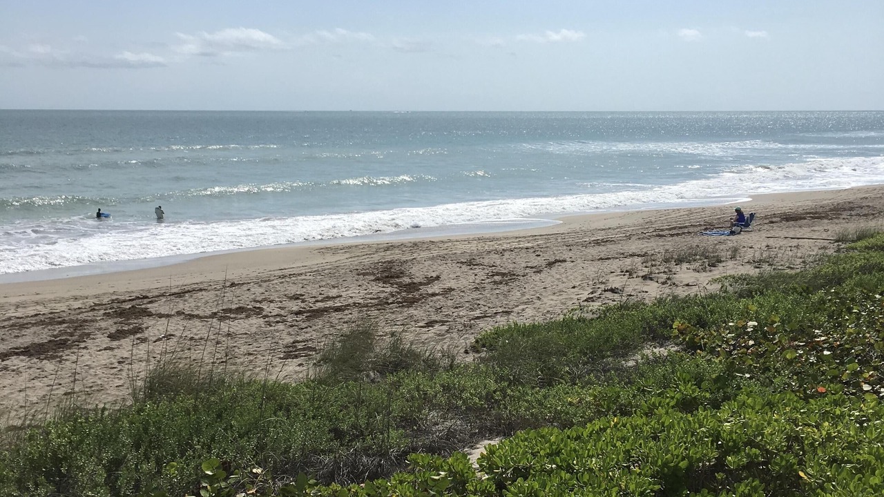 Photo of Others in Stuart