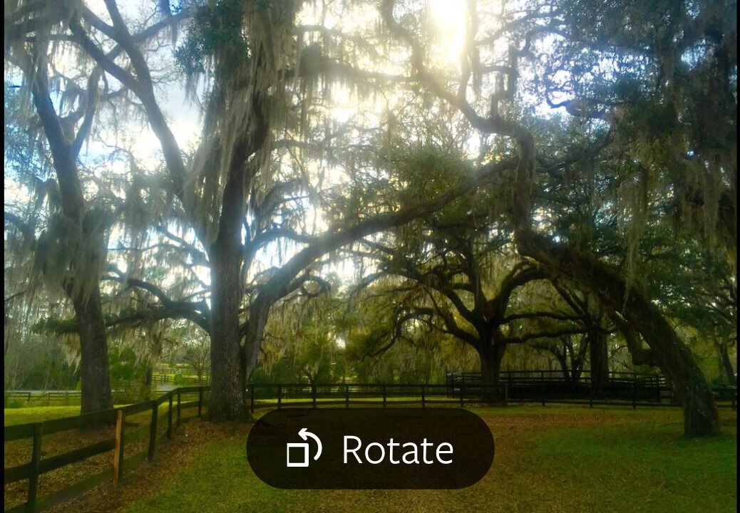 Photo of Outdoor in Reddick