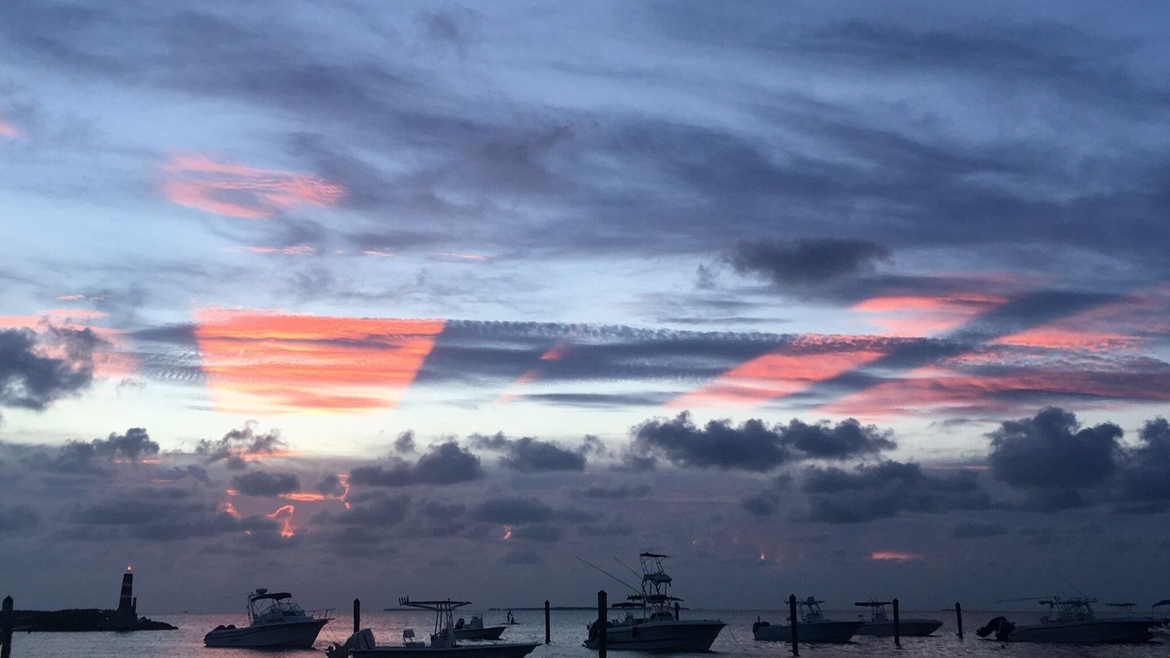 Photo of Others in Islamorada